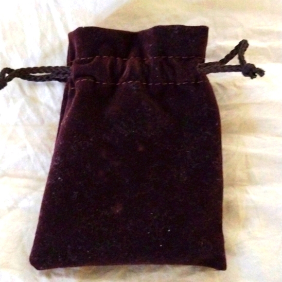 Authentic Poche by LOUIS VUITTON R20503 - Picture 4 of 12